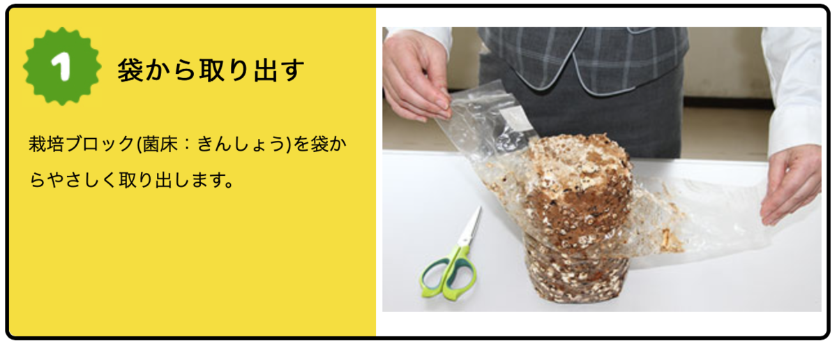 f:id:Wetland:20190627002453p:plain