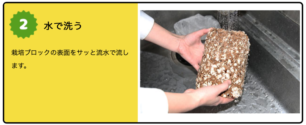 f:id:Wetland:20190627002509p:plain