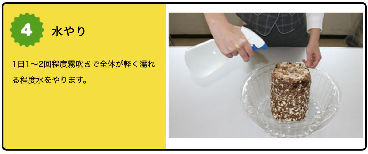 f:id:Wetland:20190627002524p:plain