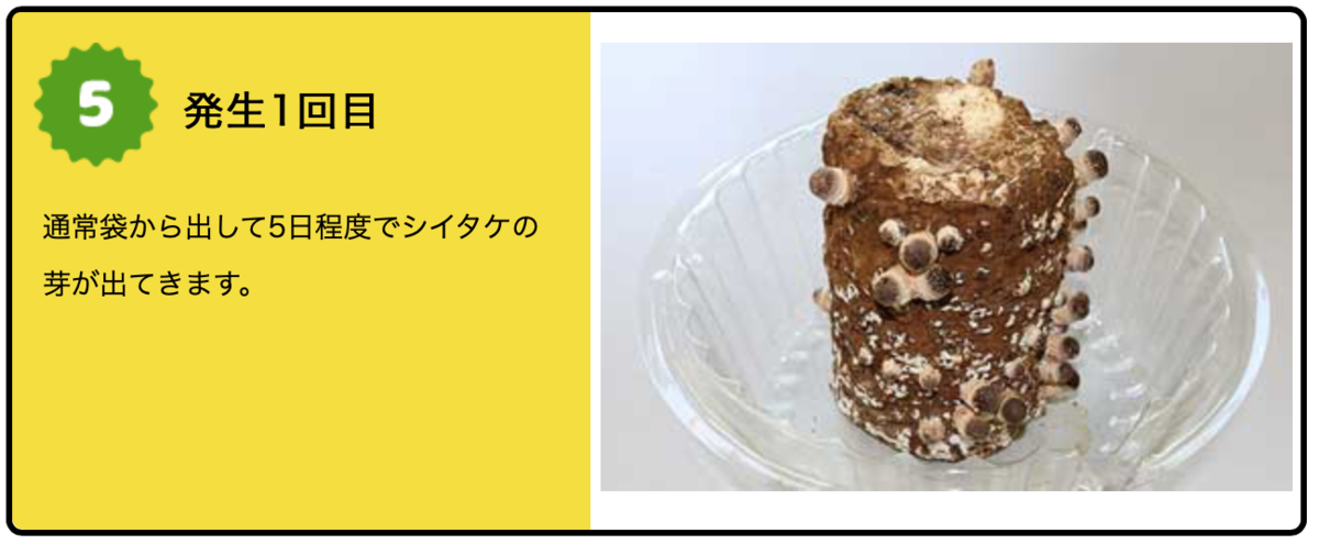 f:id:Wetland:20190627002526p:plain