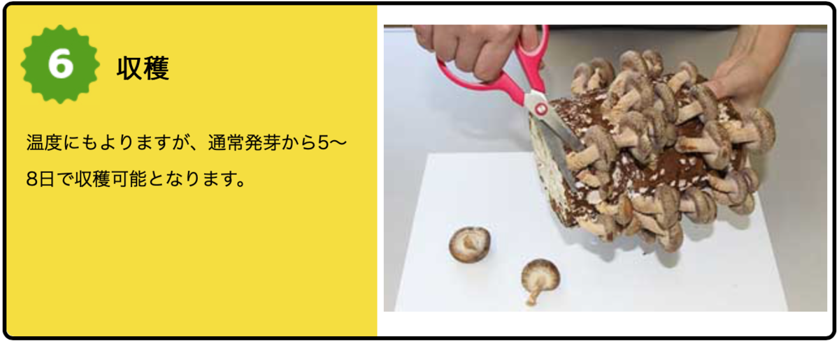 f:id:Wetland:20190627002528p:plain