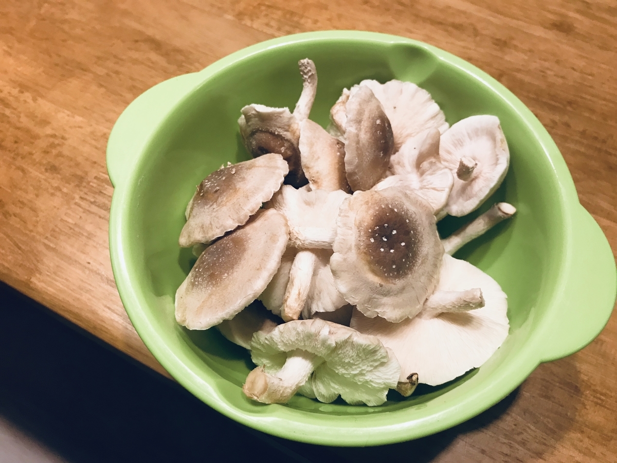 f:id:Wetland:20190627005438j:plain