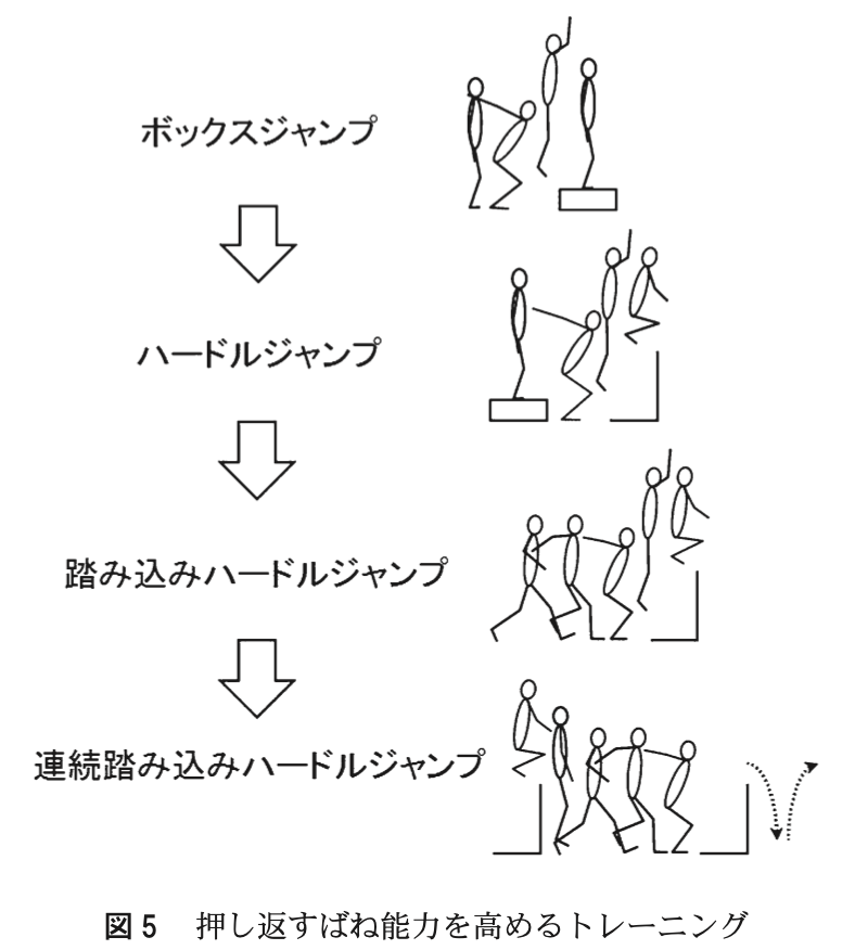 スポーツの ばね 能力を高めたり鍛える前に階層構造を確認してみよう 向かい風参考記録
