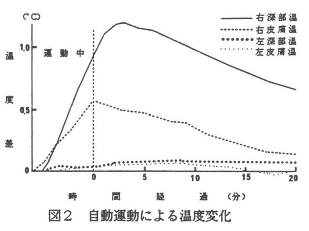 f:id:Wetland:20200220235326p:plain