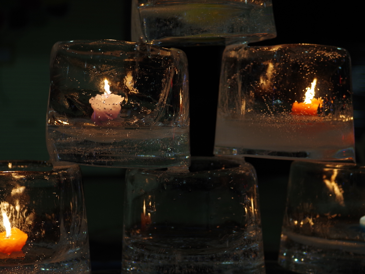 f:id:Wetland:20220202010510j:plain