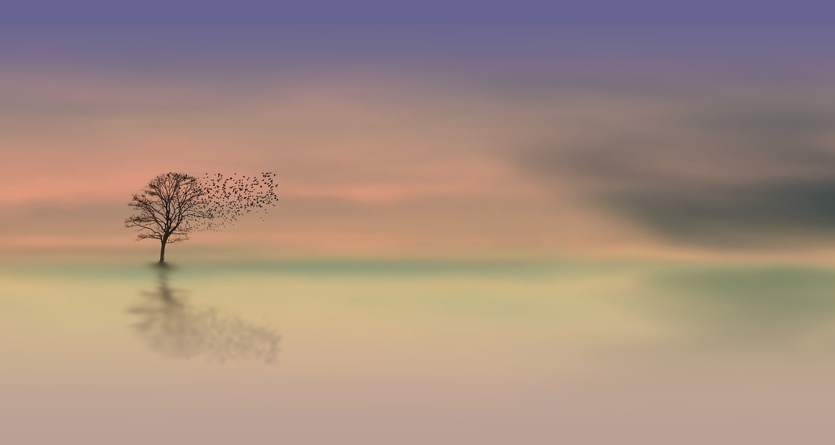 f:id:What_I_do:20191223192653j:plain f:id:What_I_do:20191223192653j:plain