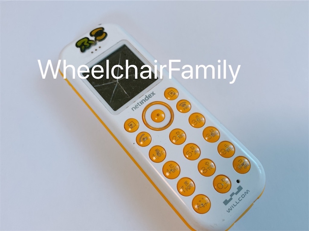 f:id:WheelchairFamily:20210408090100j:image f:id:WheelchairFamily:20210408090100j:image