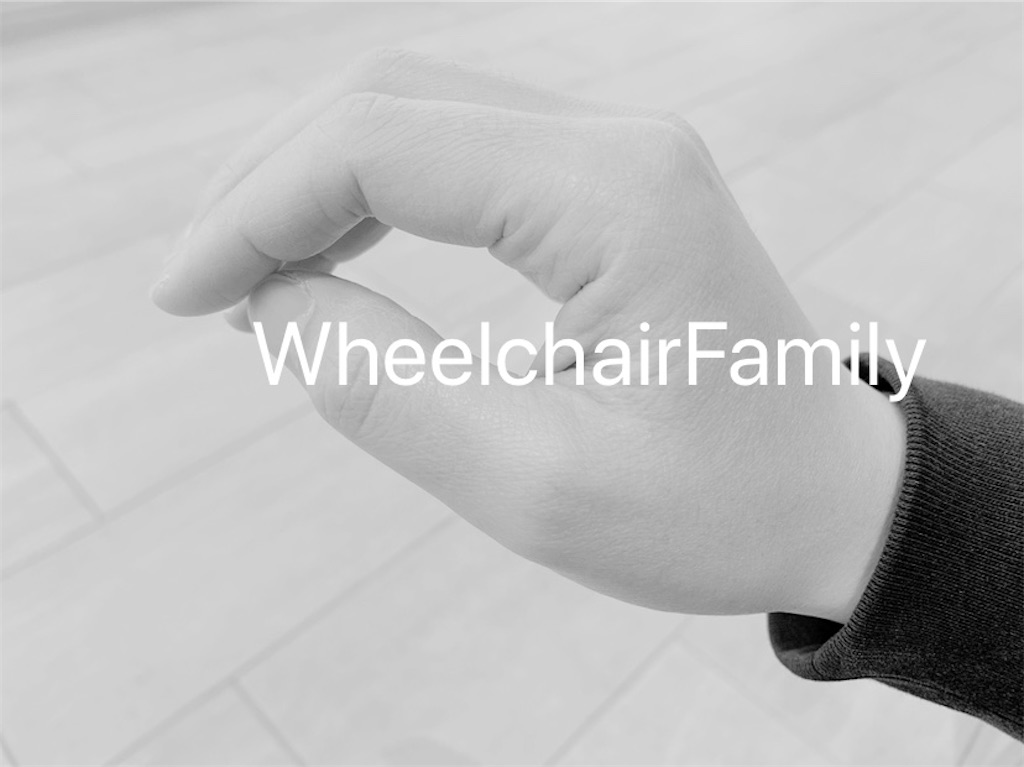 f:id:WheelchairFamily:20210409090800j:image f:id:WheelchairFamily:20210409090800j:image