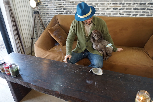 f:id:WhiteTree:20170219140548j:image f:id:WhiteTree:20170219140548j:image