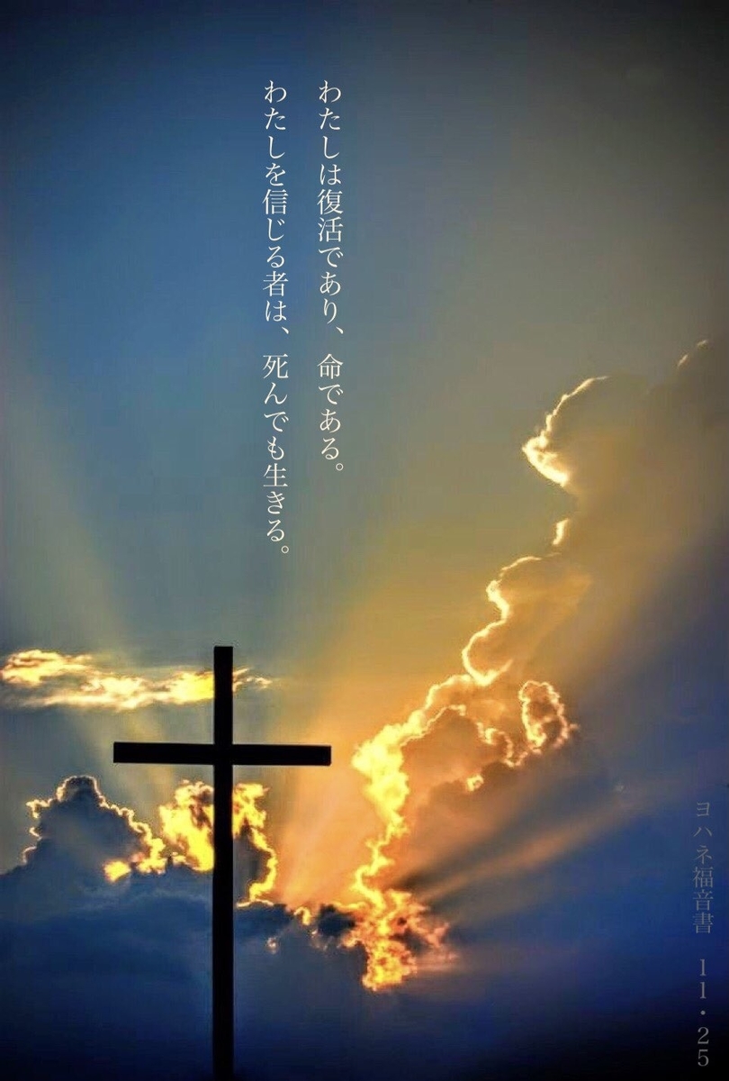 f:id:Whoareyou1222:20210430215528j:plain
