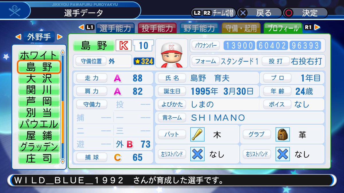 f:id:Wildblue:20190531222004j:plain