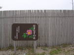 Dsc042171