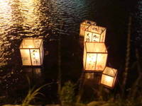 Dsc023541