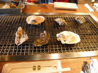 Dscf20271