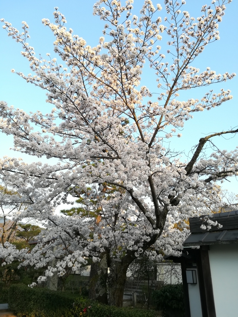 f:id:Windnap:20180331155732j:plain f:id:Windnap:20180331155732j:plain
