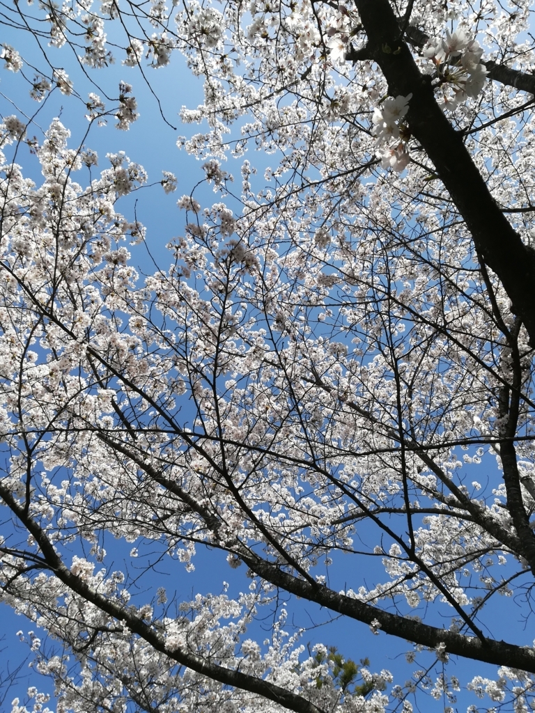 f:id:Windnap:20180331155915j:plain f:id:Windnap:20180331155915j:plain