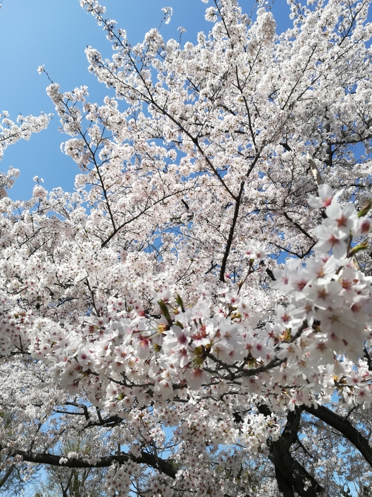 f:id:Windnap:20180331155928j:plain f:id:Windnap:20180331155928j:plain