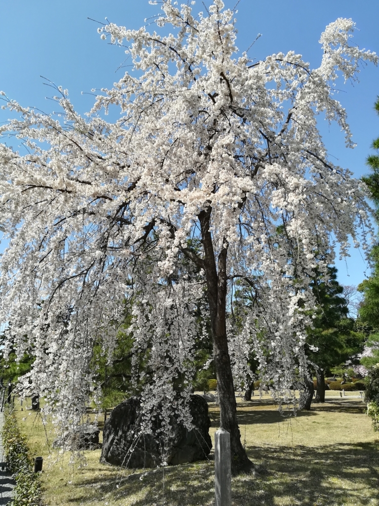 f:id:Windnap:20180331155934j:plain f:id:Windnap:20180331155934j:plain