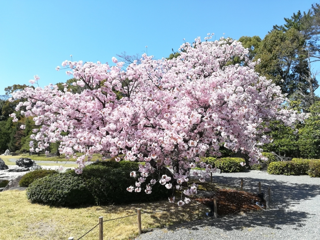 f:id:Windnap:20180331155940j:plain f:id:Windnap:20180331155940j:plain