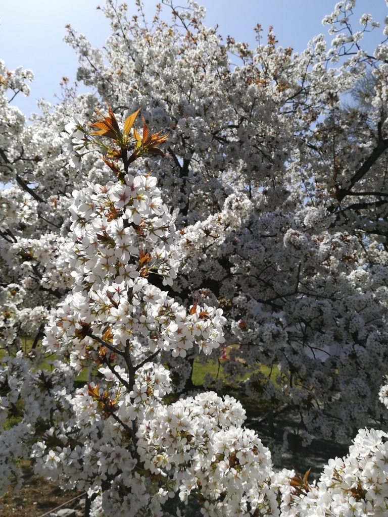 f:id:Windnap:20180331160022j:plain f:id:Windnap:20180331160022j:plain