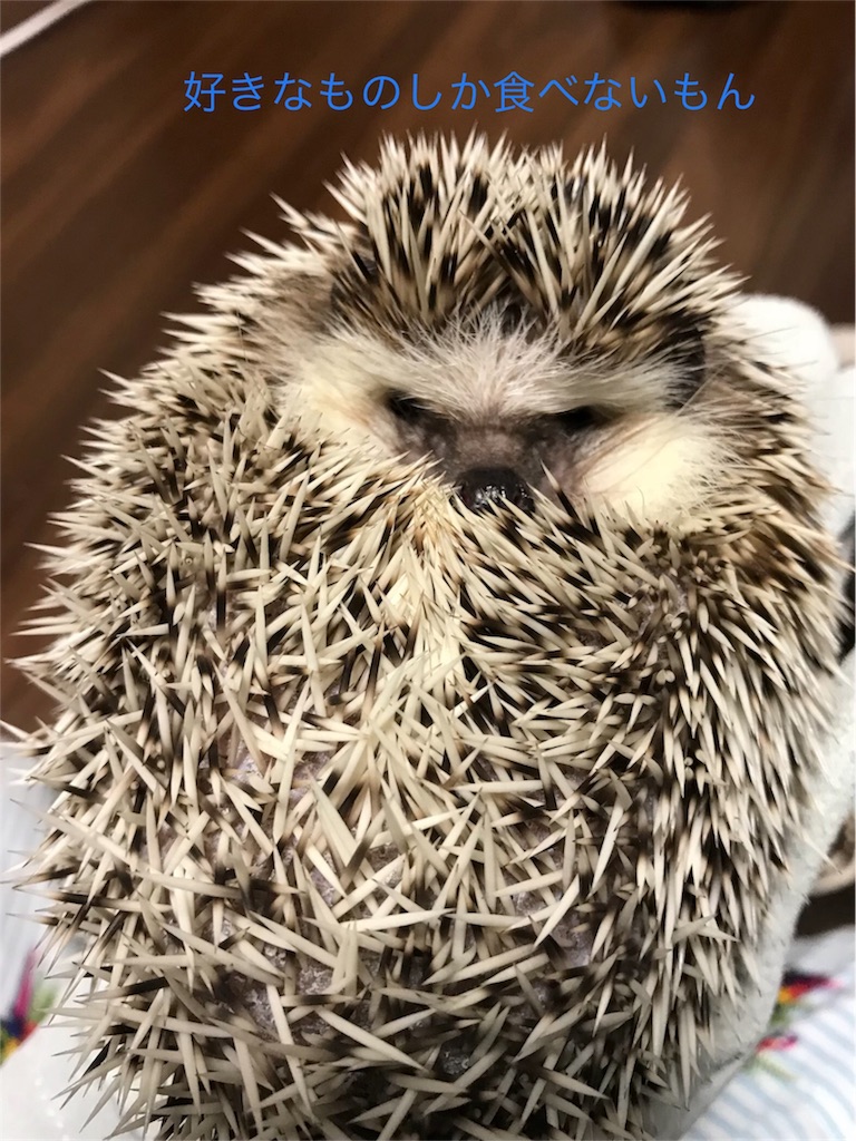 f:id:Winniemom:20180712211338j:image f:id:Winniemom:20180712211338j:image