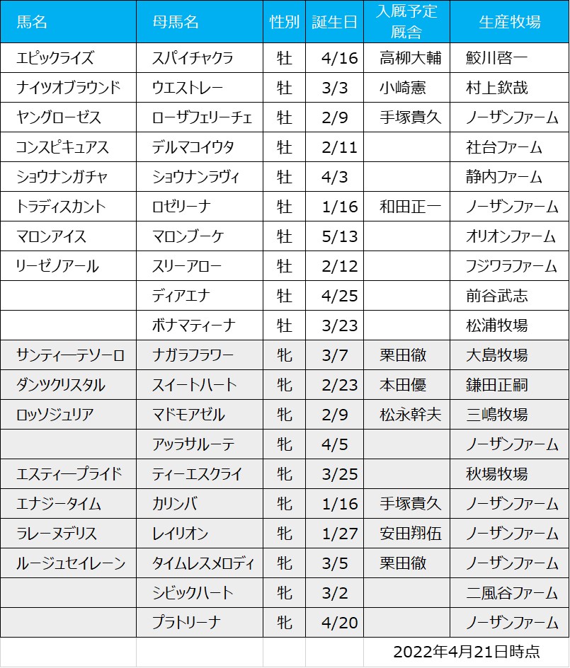 2022年エピファネイア産駒初仔