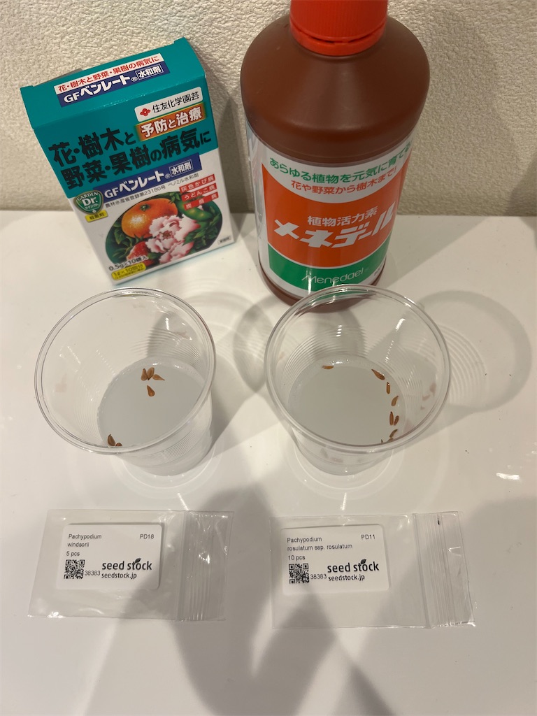 実生初心者必見 種まきグッズ紹介 パキポディウム アガベ つばさのパキポディウム実生記録ブログ ウィンゾリー グラキリス他