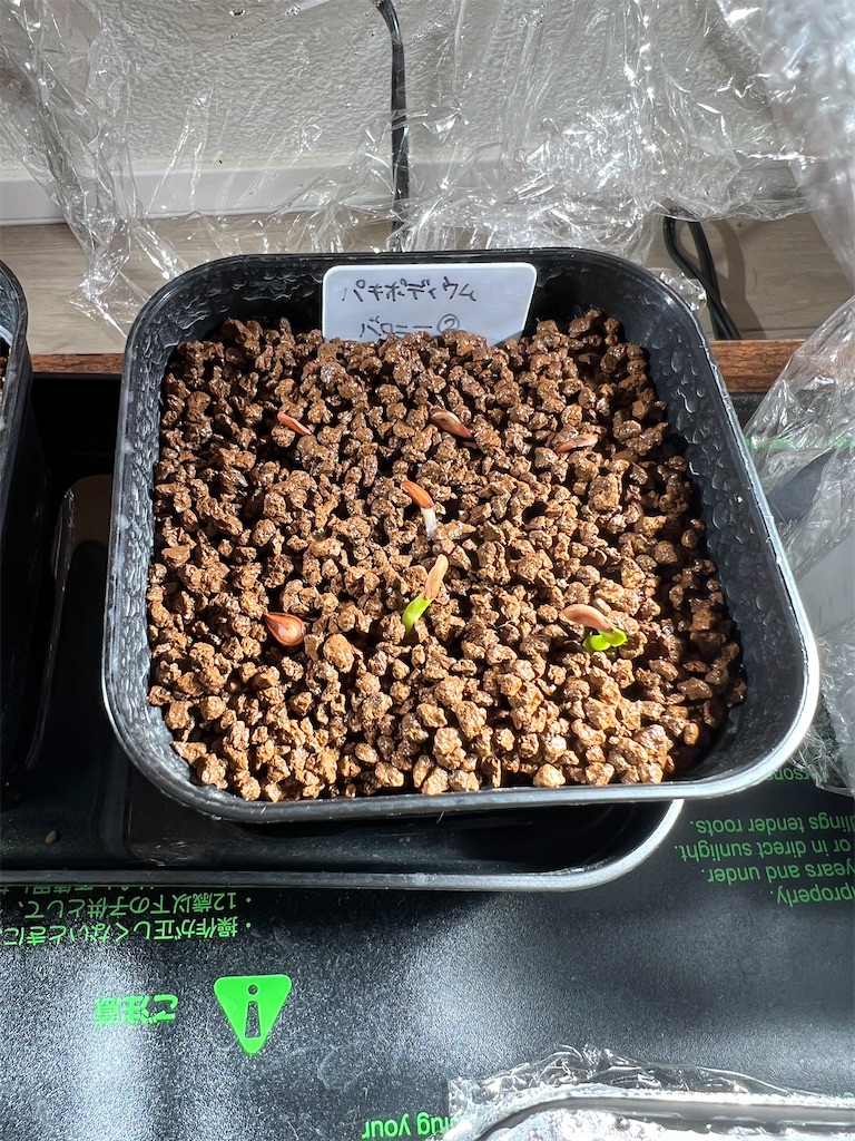 f:id:WinwinHigK:20230104075353j:image f:id:WinwinHigK:20230104075353j:image