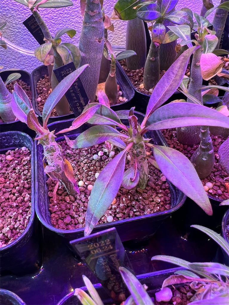 f:id:WinwinHigK:20230104080512j:image f:id:WinwinHigK:20230104080512j:image