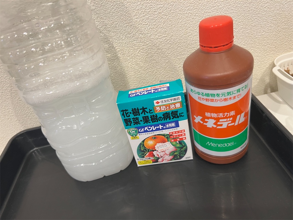 f:id:WinwinHigK:20230123153721j:image f:id:WinwinHigK:20230123153721j:image
