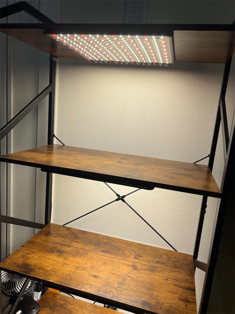 保存版】植物棚を増設したので作り方をまとめてみました - つばさブログ