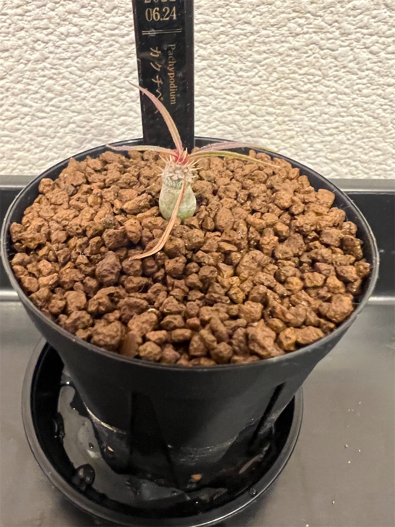 f:id:WinwinHigK:20230202082809j:image f:id:WinwinHigK:20230202082809j:image