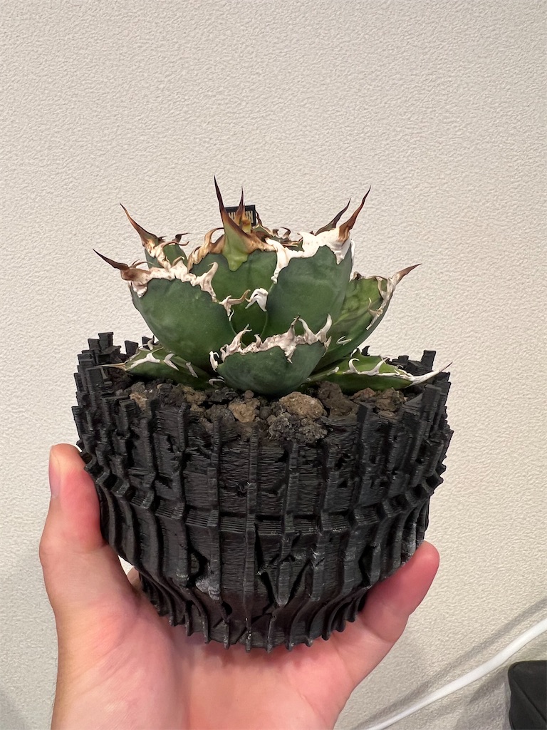 今日の園芸#4】YABACHI開封と室外機カバーの設置【2023/09/11