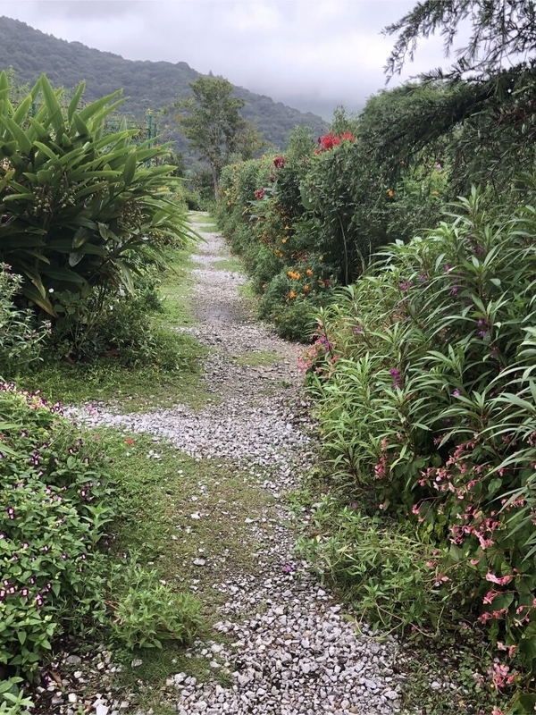 f:id:Wisteria08:20190901202208j:plain f:id:Wisteria08:20190901202208j:plain