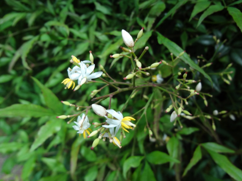 f:id:Wnichibun:20130628124517j:image:w360