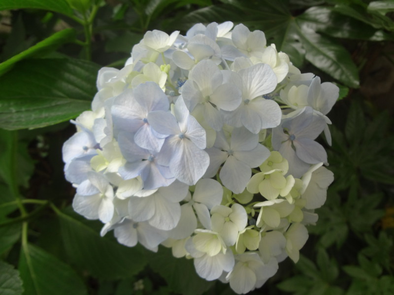 f:id:Wnichibun:20140609135729j:image:w360