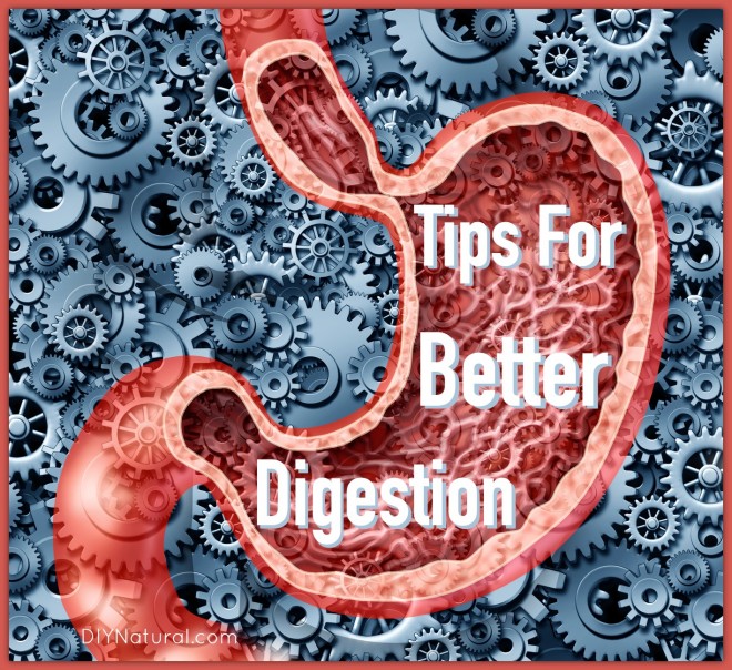 f:id:WomensHealthtips:20190816200411j:plain f:id:WomensHealthtips:20190816200411j:plain
