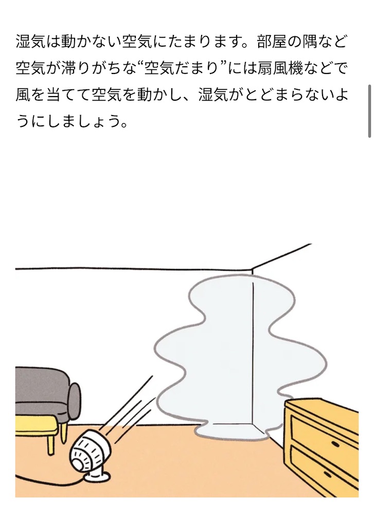 f:id:Wonder7:20250423123852j:image f:id:Wonder7:20250423123852j:image
