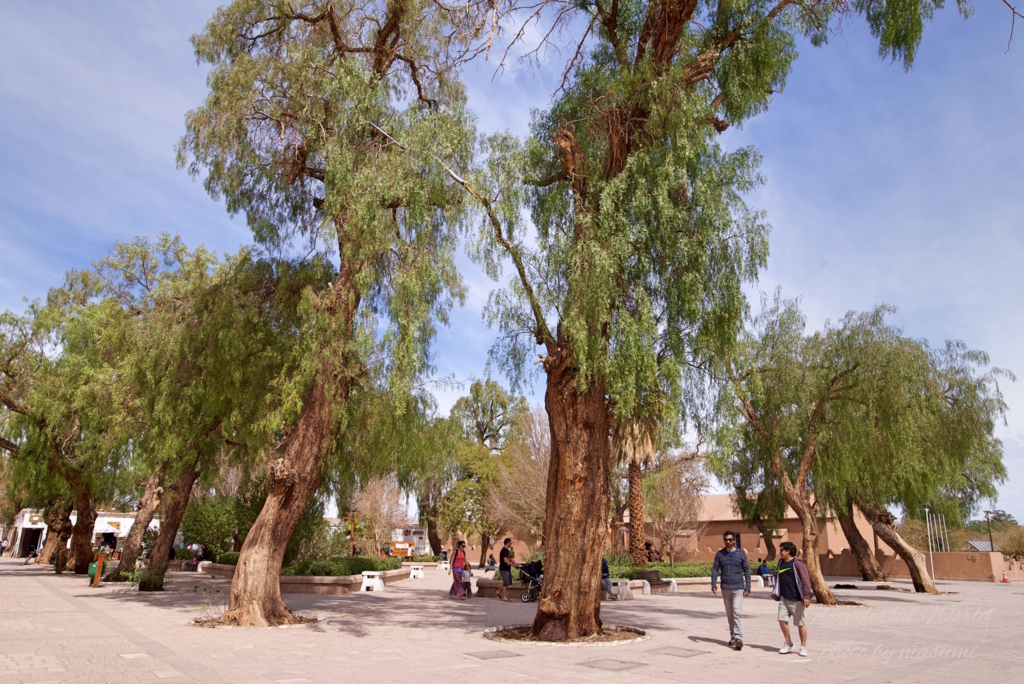 f:id:Wonderfulworld:20161004041714j:plain