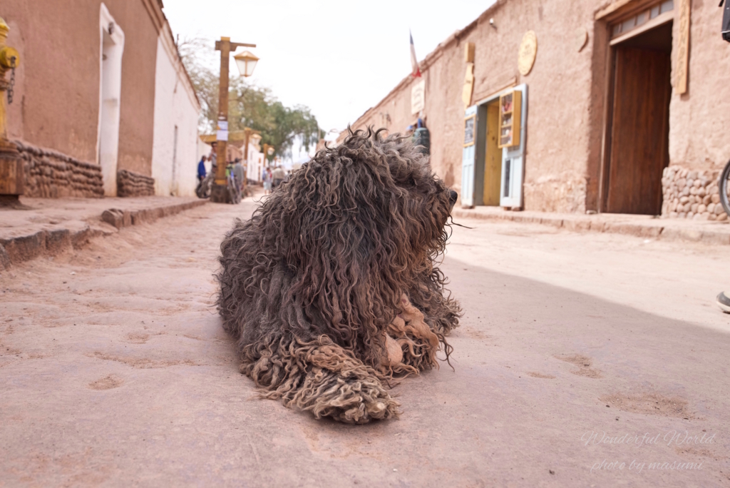 f:id:Wonderfulworld:20161004043525j:plain