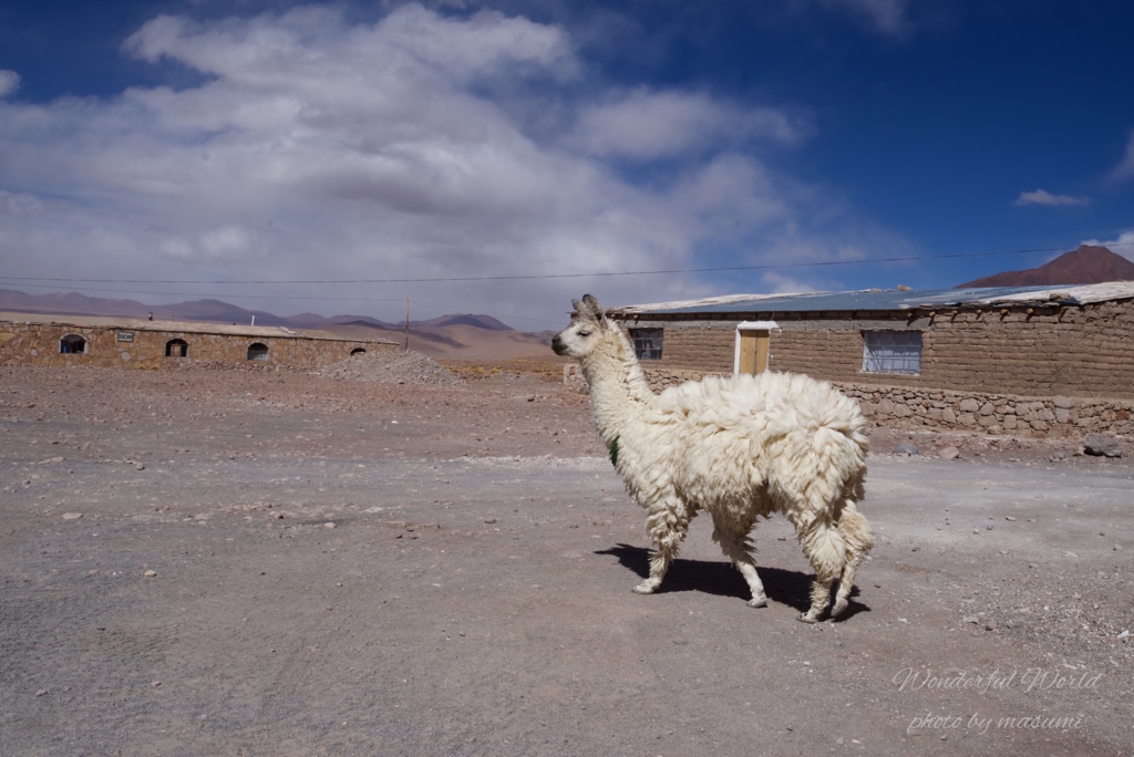 f:id:Wonderfulworld:20161006131414j:plain