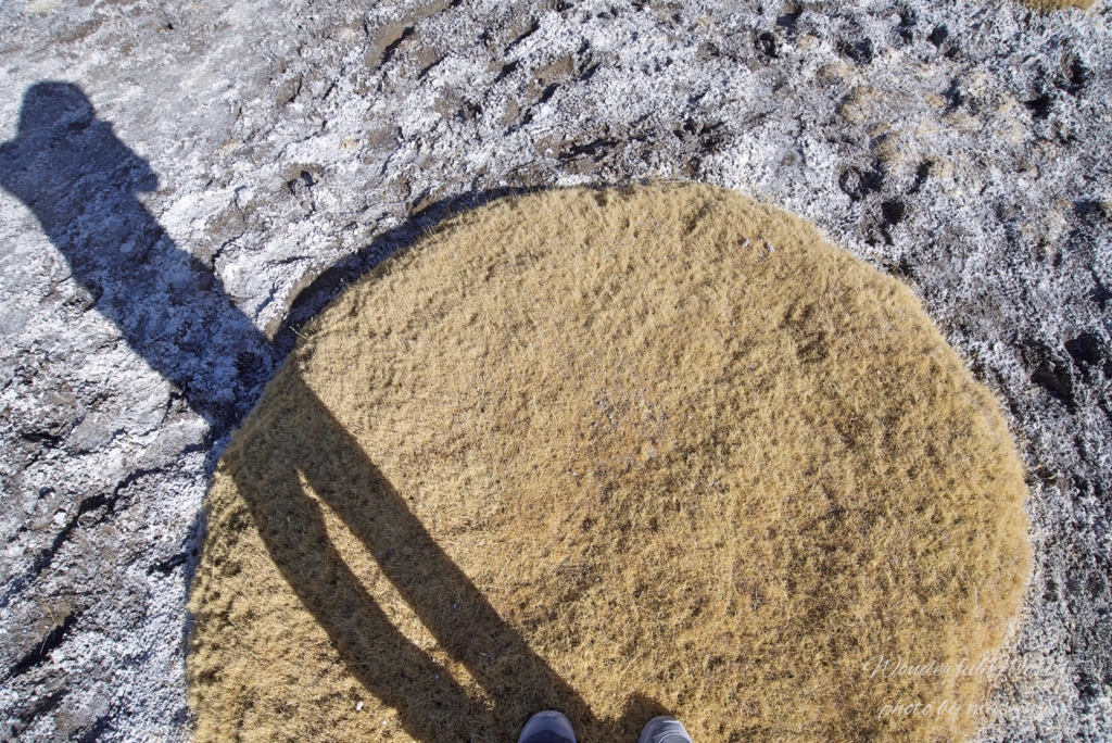 f:id:Wonderfulworld:20161006133928j:plain