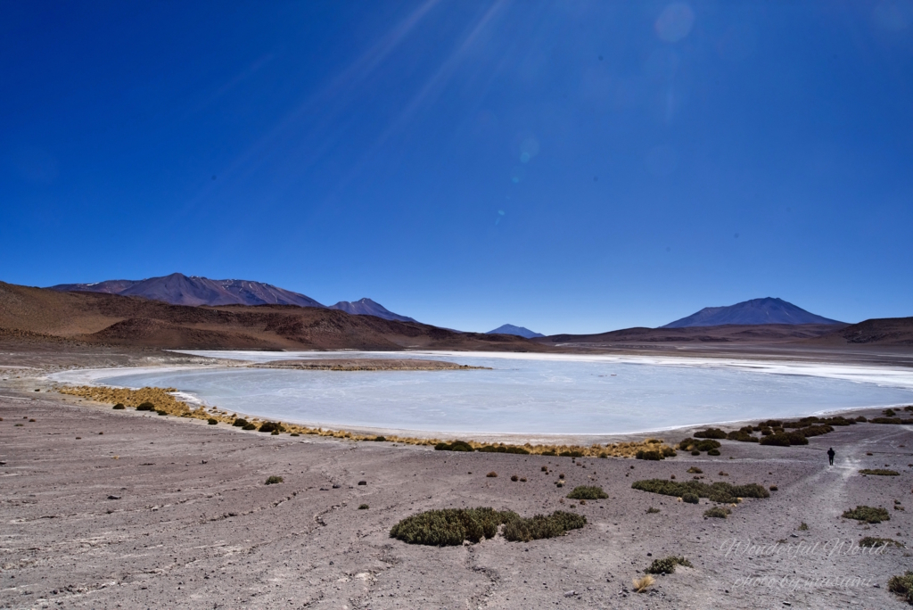 f:id:Wonderfulworld:20161006181650j:plain