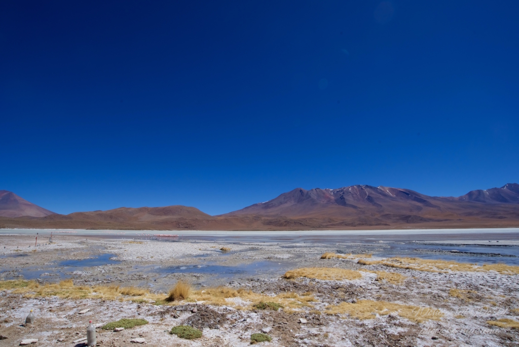 f:id:Wonderfulworld:20161006182357j:plain