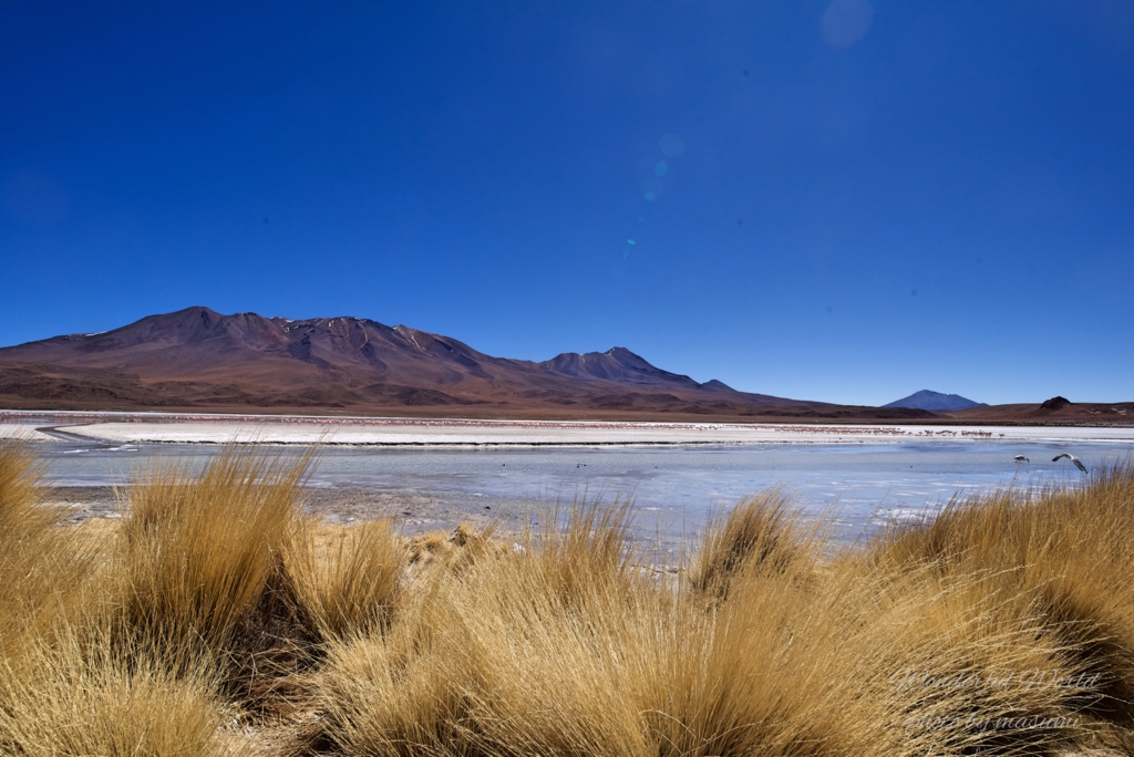 f:id:Wonderfulworld:20161006182616j:plain