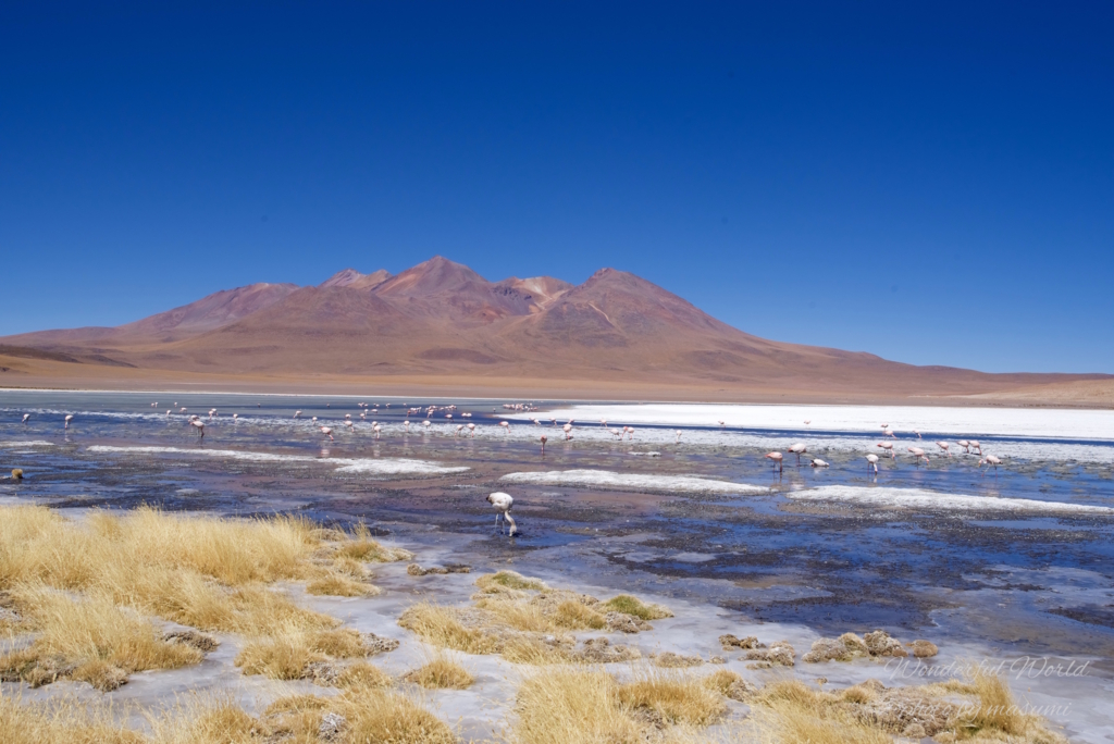 f:id:Wonderfulworld:20161006182938j:plain