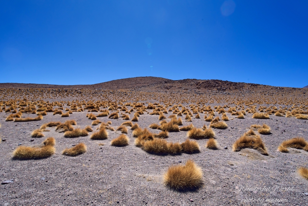 f:id:Wonderfulworld:20161006183838j:plain