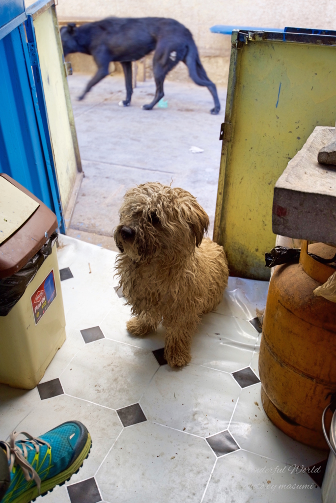 f:id:Wonderfulworld:20161007143936j:plain