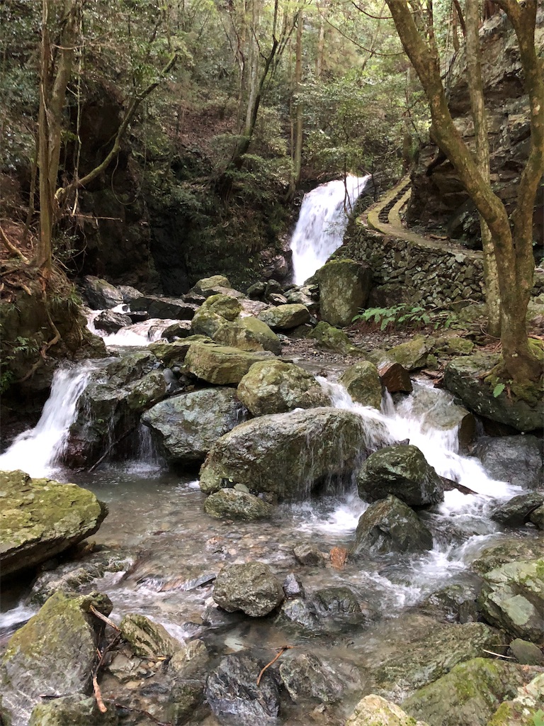 f:id:Wondersofnature:20180828214854j:image f:id:Wondersofnature:20180828214854j:image