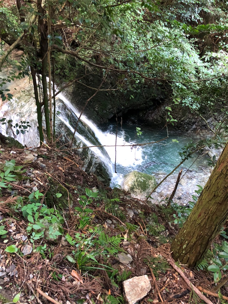 f:id:Wondersofnature:20180828214903j:image f:id:Wondersofnature:20180828214903j:image